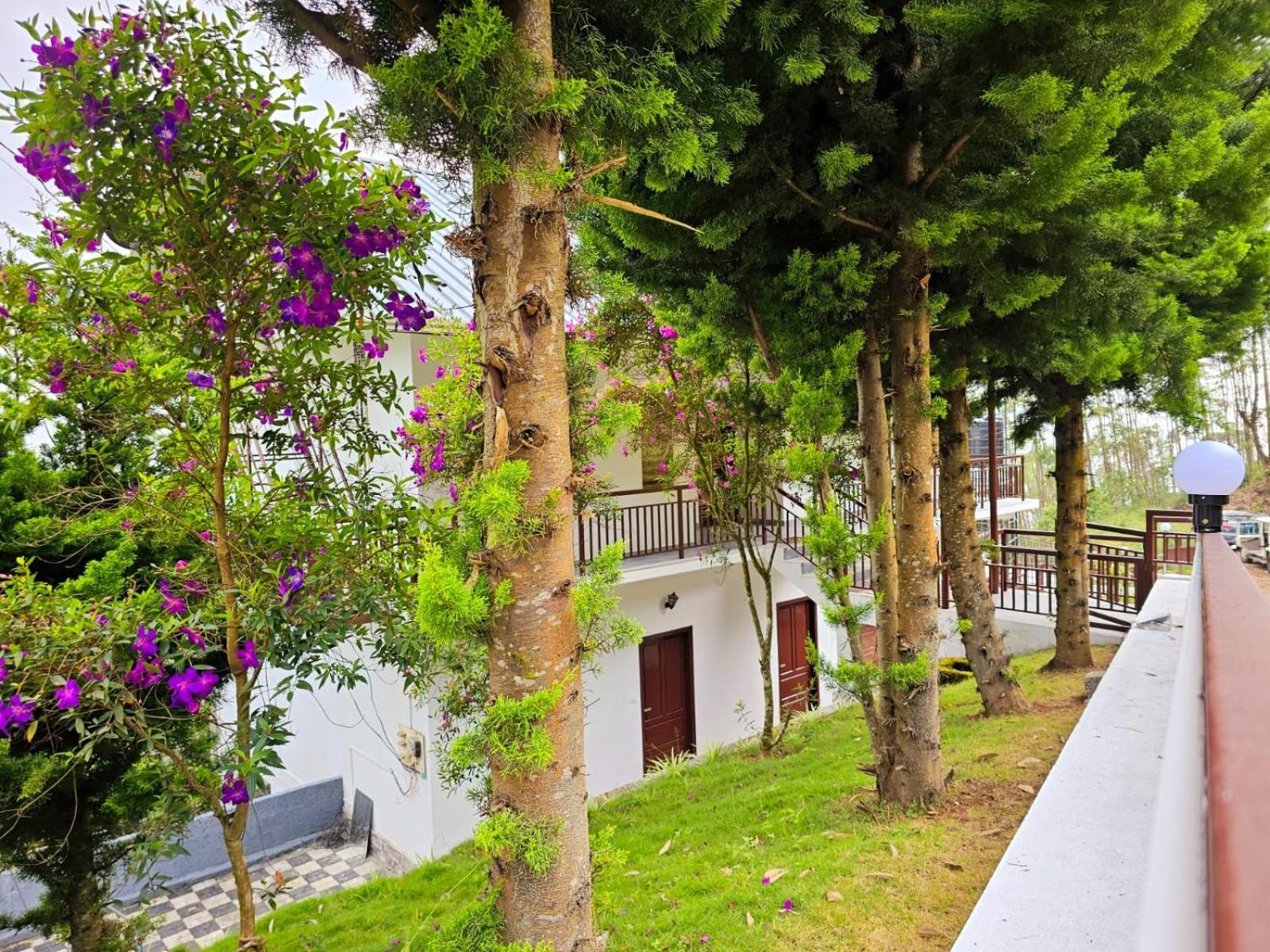Rock And Mist Munnar Bed & Breakfast Devikolam Dış mekan fotoğraf